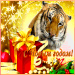 С Новым годом! от aanyaa78