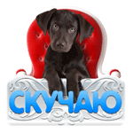 Стикер Скучаю 