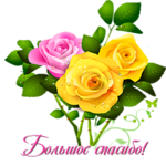 . от Nadiusa